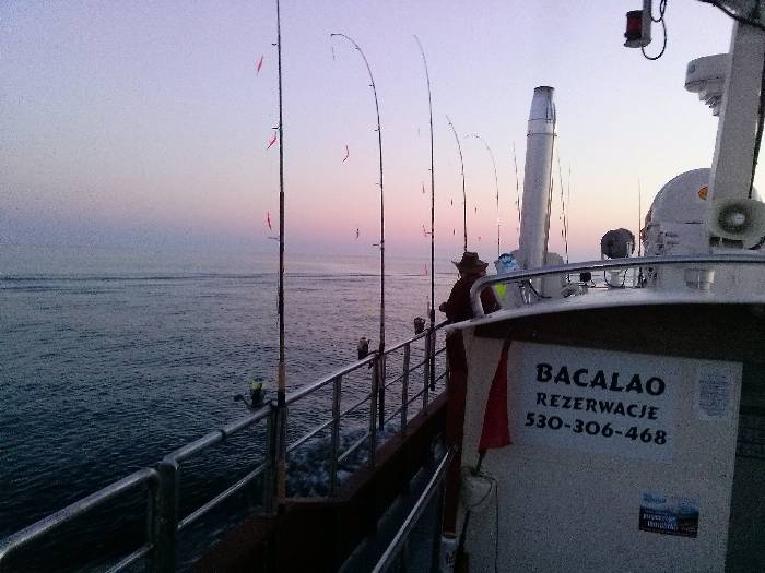 Grudziądz układanie polbruku